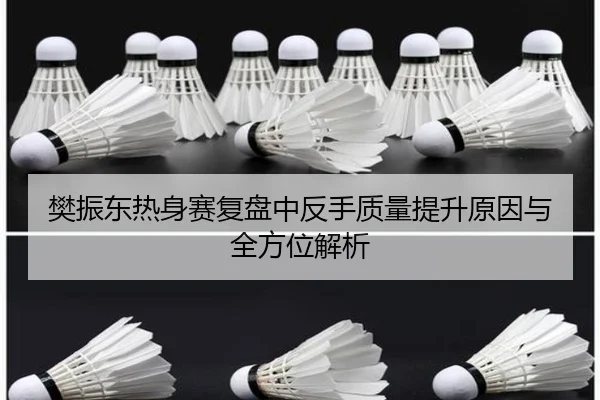 樊振东热身赛复盘中反手质量提升原因与全方位解析